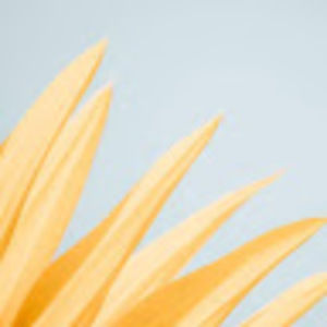 Meet your Posher, Kyra